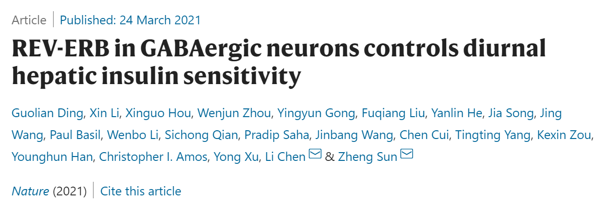 diurnal,sedition nature 发表了题为:rev-erb in gabaergic neurons controls diurnal