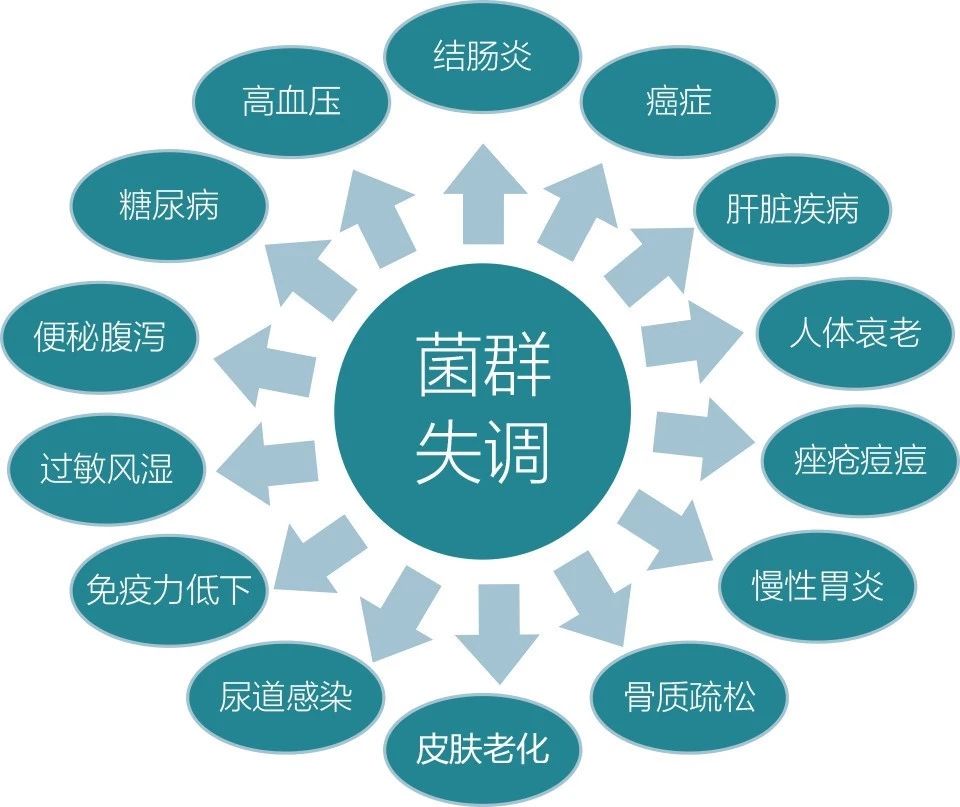 喝沙棘的不良反应_沙棘什么时候喝好?_喝沙棘时候好喝水吗